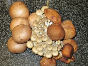 Chestnut, Shiitake and Buna Shimeji Mushrooms